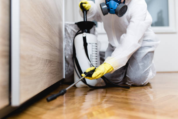 Best Flea Control Services  in Lake Shore, MD