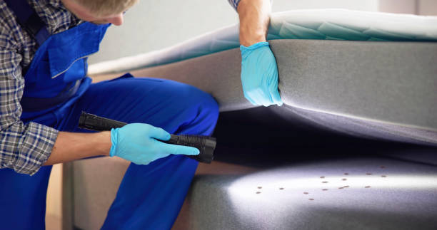 Best Pest Prevention Services  in Lake Shore, MD
