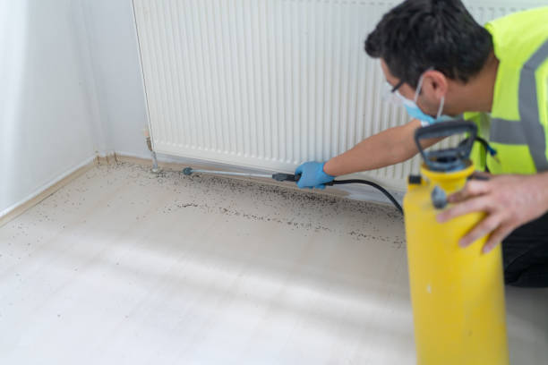 Best Residential Pest Control  in Lake Shore, MD
