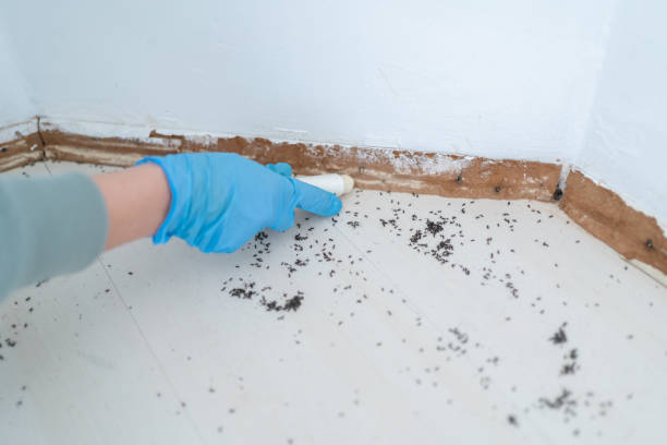 Wildlife Control Services in Lake Shore, MD