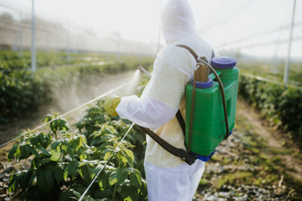 Best Pest Control for Restaurants  in Lake Shore, MD
